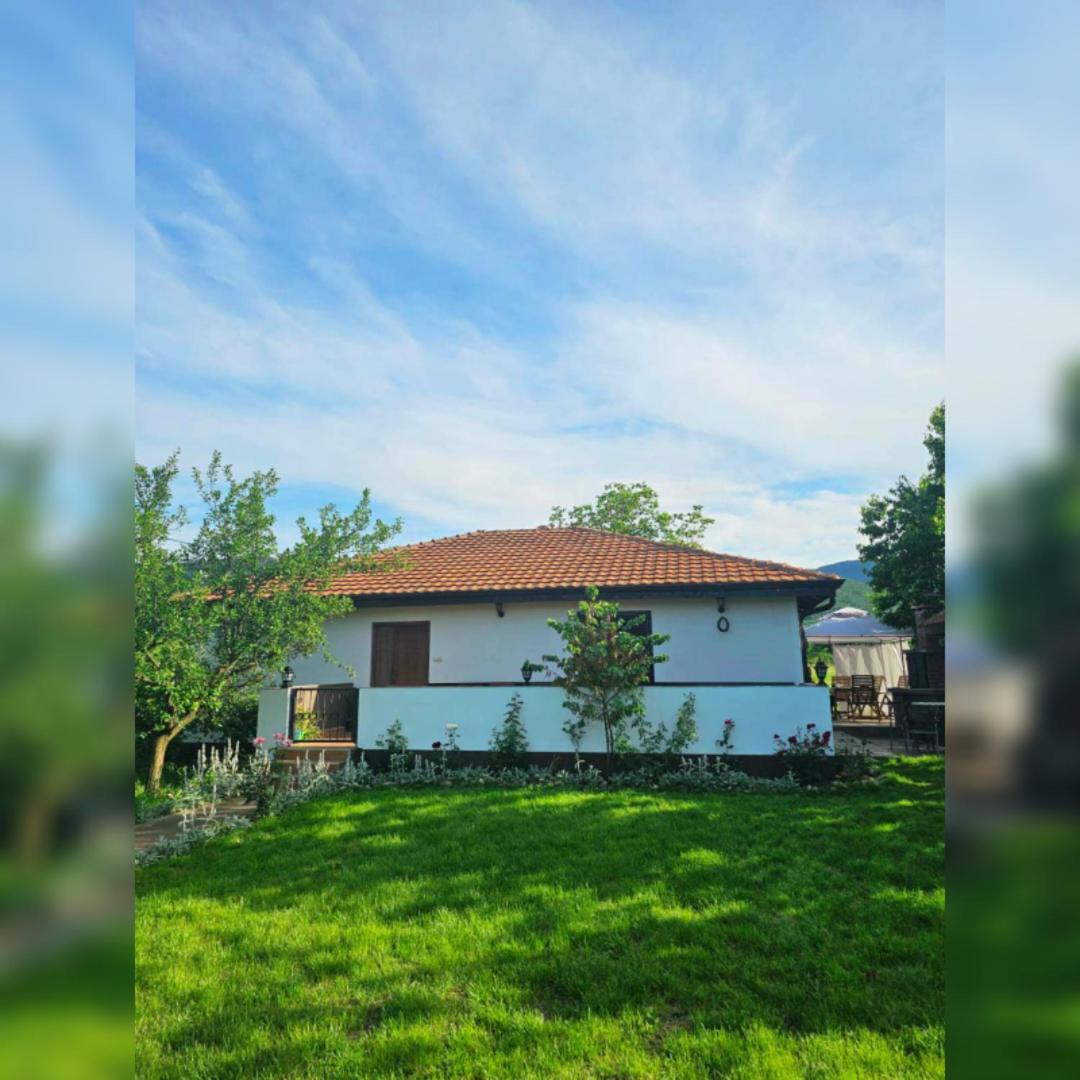 House Milovanovic Soko Banja Eksteriør bilde